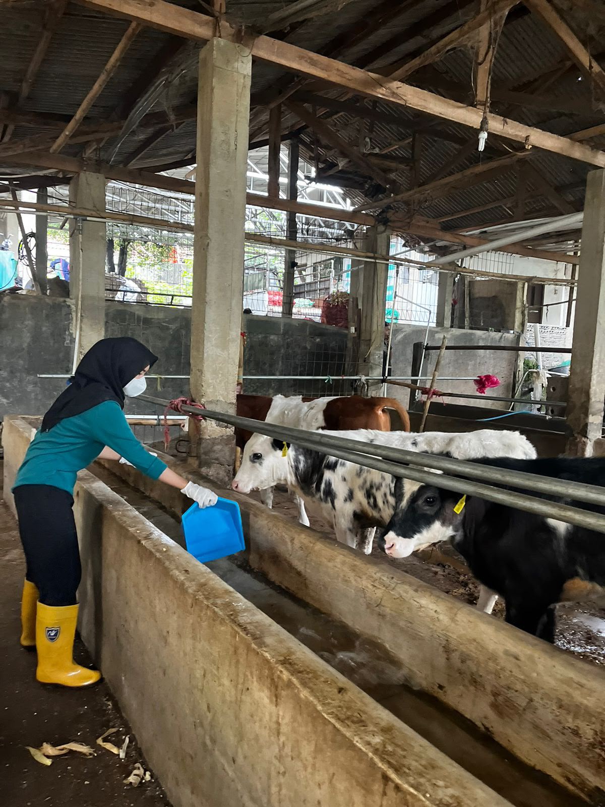 Manajemen Kesehatan